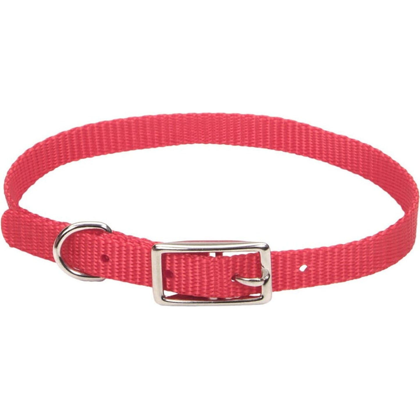 Single Ply Dog Collar