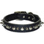 Latigo Leather 1 Ply Spiked Dog Collar