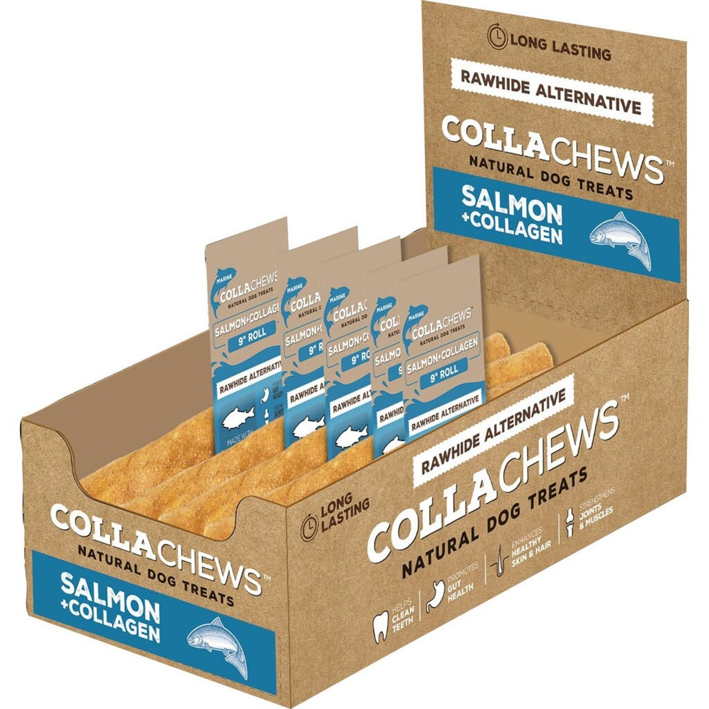 Collachews Collagen Roll Pdq Display