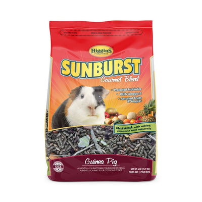 Sunburst Gourmet Blend Guinea Pig