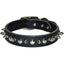Latigo Leather 1 Ply Spiked Dog Collar