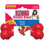 Kong Goodie Bone