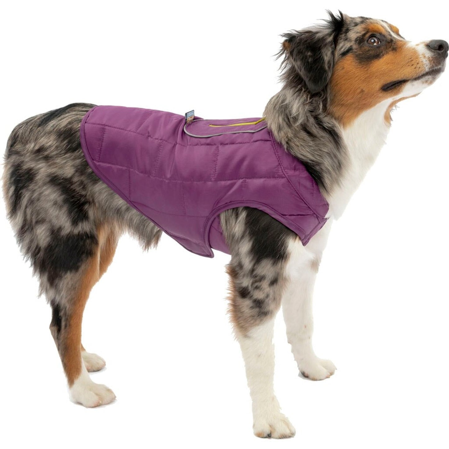 Kurgo Loft Jacket