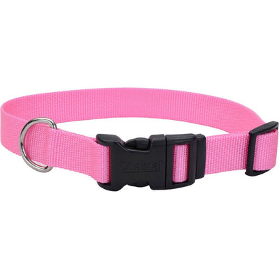 Adjustable Dog Collar W/ Plastic Buckle