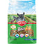Kaytee Fiesta Chinchilla Food