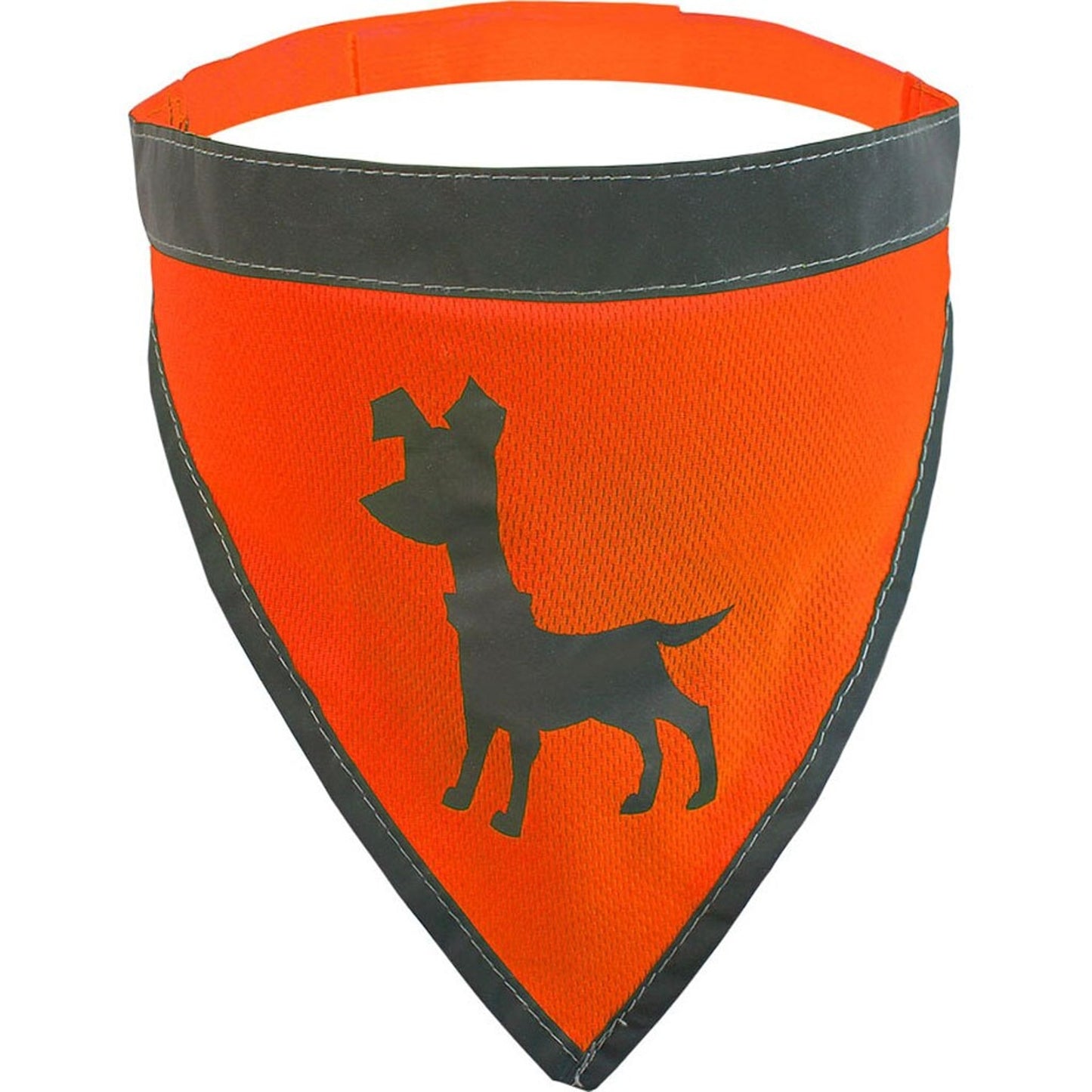 Visibility Dog Bandana