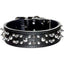 Latigo Leather Spike/Stud Dog Collar